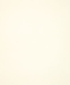 100-White-without-Veining-247×300