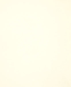 101-whiteonwhite
