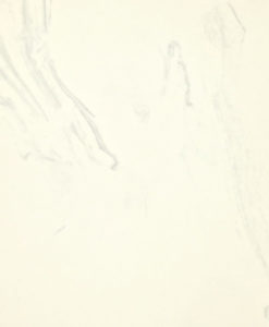108-whitewithheronblueveining