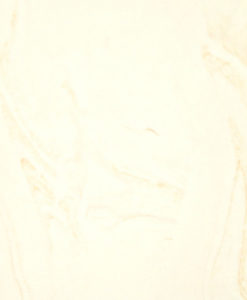 154-whitewithdesertbloomveining