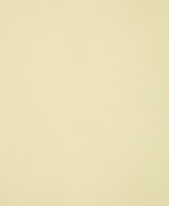 205-Solid-Almond-247×300