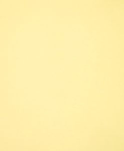 207-Solid-Biscuit-247×300