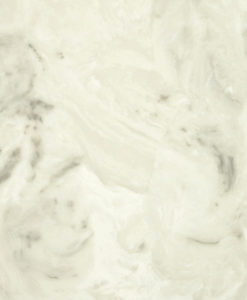 310-Ice-Grey-Onyx-247×300